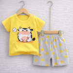 Premium quality T-shirt and pant