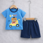 Premium quality T-shirt and pant