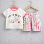 Premium quality T-shirt and pant