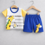 Premium quality T-shirt and pant