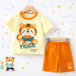 Premium quality T-shirt and pant