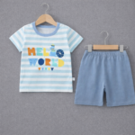 Premium quality T-shirt and pant