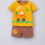 Premium quality T-shirt and pant