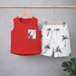 Premium quality T-shirt and pant