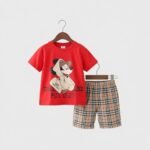 Premium quality T-shirt and pant